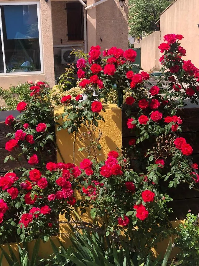 Bed & Breakfast Chez Guy Bed and Breakfast Marseille